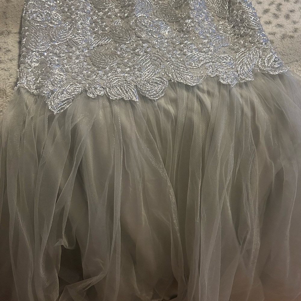 Silver Lace and Tulle Dress - Picture 2 of 5